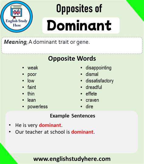 antonyms for dominate.